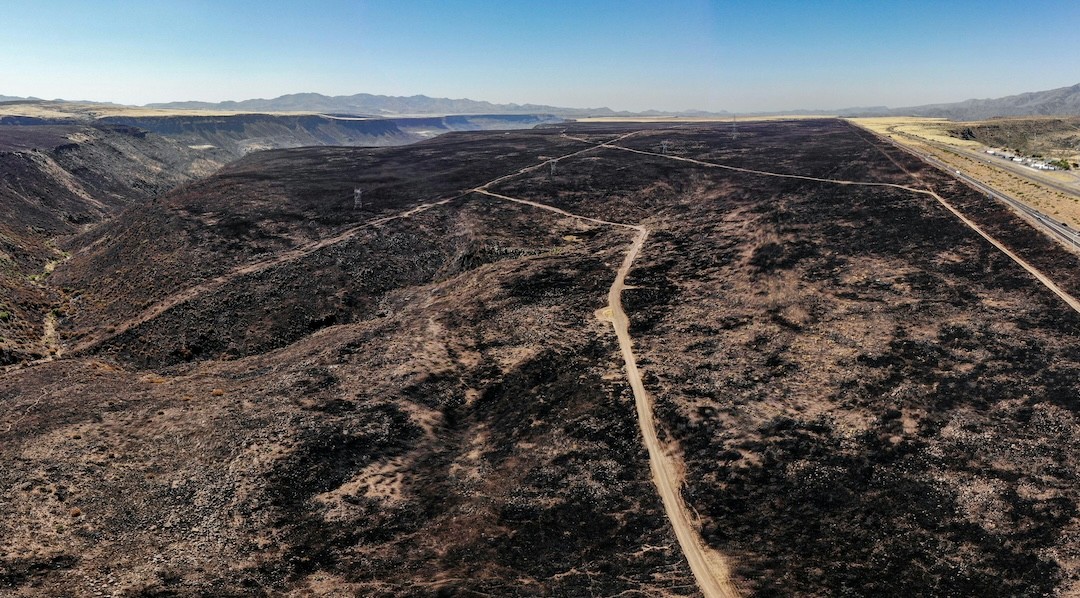 Requalificação dos terrenos ardidos: como é feita em Portugal?